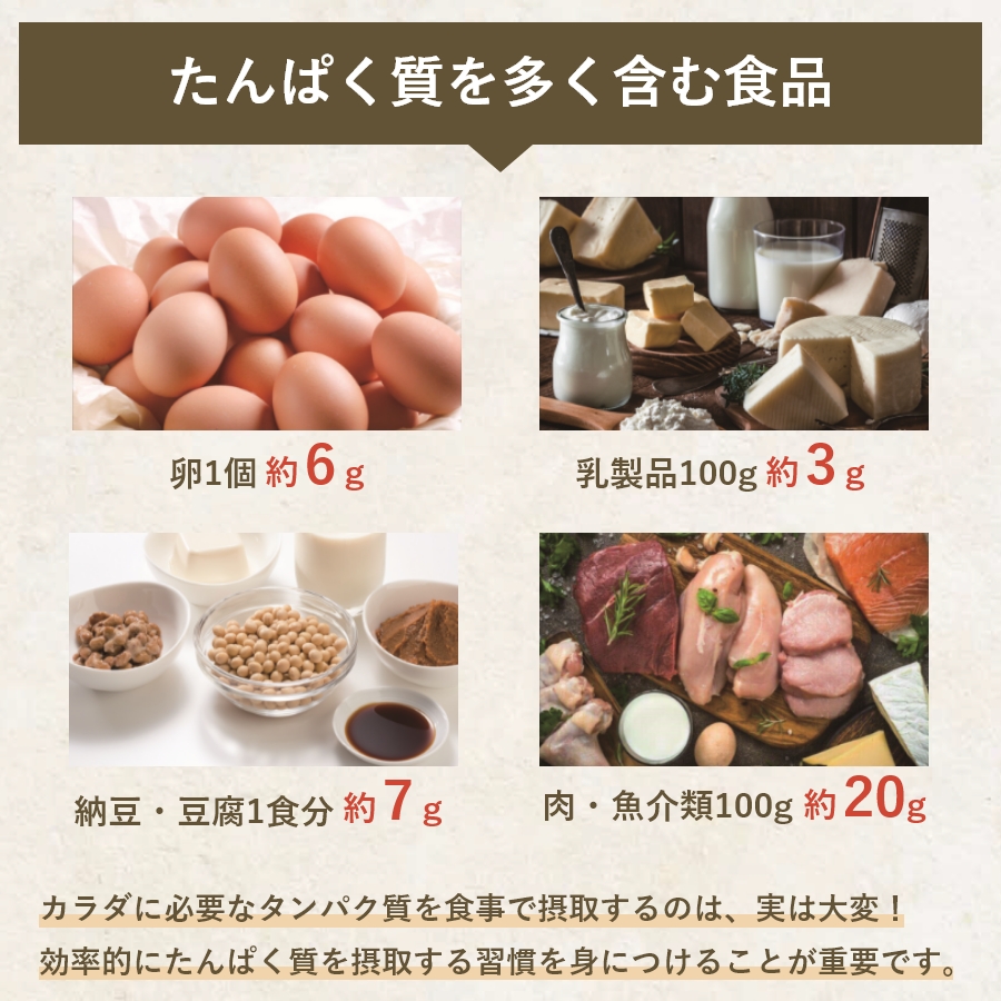 【健康定期便】メガロスホエイプロテインプロ/生クリームチョコレート風味